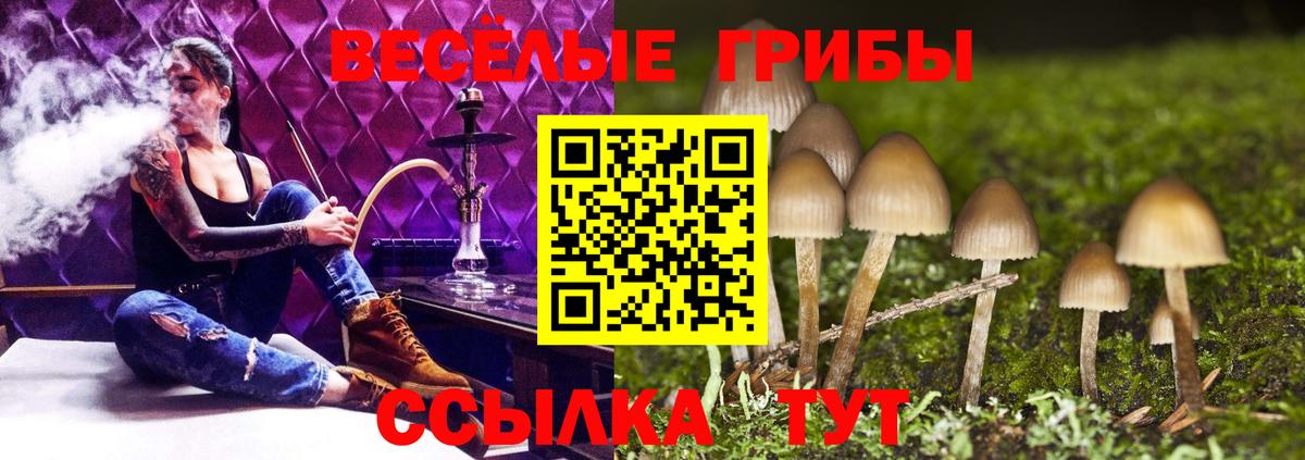 Галлюциногенные грибы MAGIC MUSHROOMS  Вход с VPN  Анжеро-Судженск 